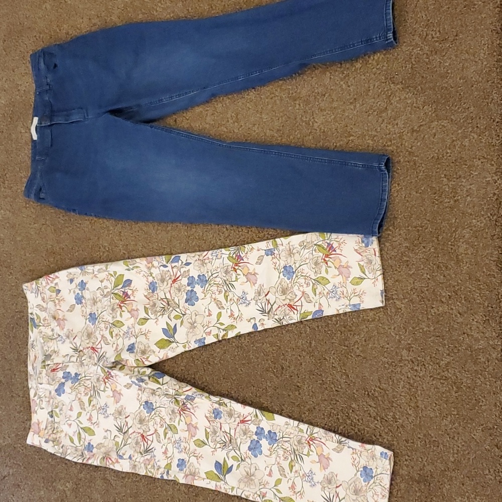J Jill Jeans Bundle